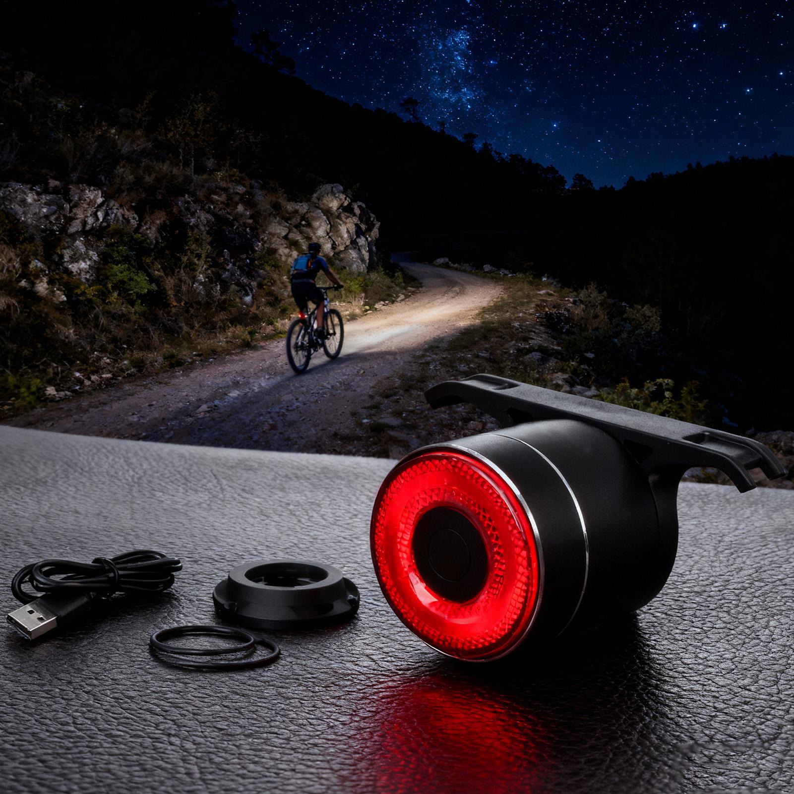 Luz traseira da bicicleta inte - Cycling To Commute avaliação e preço
